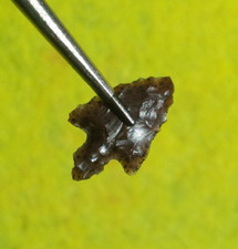 Jasper rose springs for sale  Allyn