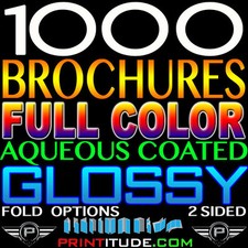 1000 brochures x12 for sale  Jacksonville