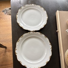 Schumann arzberg golden for sale  Villanova