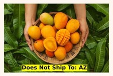 Fruit glenn mango for sale  Fallbrook