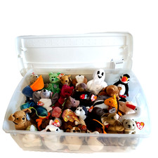 71 beanie baby lot for sale  New Paltz