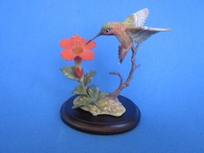 Beija-flor Maruri Rufous com trompete trepadeira com caixa original e certificado de autenticidade, usado comprar usado  Enviando para Brazil