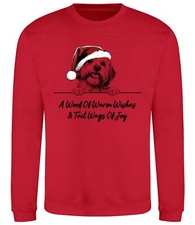 Lhasa apso christmas for sale  PONTYPRIDD