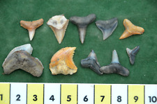 Rare javan mixed for sale  UK