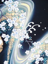 Ayane cherry blossoms for sale  HATFIELD