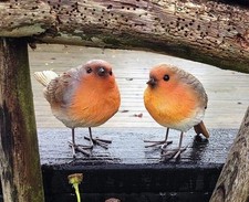 Robin statue bird for sale  OLDBURY