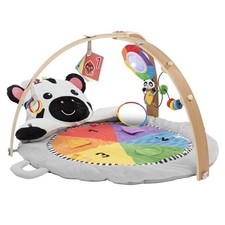 Baby einstein zen for sale  Haltom City