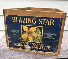 Vintage blazing star for sale  Superior