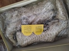 Stivali donna tacco usato Stivali donna tacco usato  Cervignano del Friuli