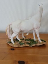 Elgate mother foal for sale  TADWORTH
