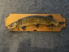 Vintage northern pike for sale  Butler