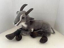 Patrick pygmy goat for sale  Portland