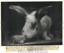 1985 press photo for sale  Memphis