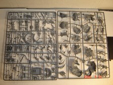 Whfb aos stegadon for sale  Minneapolis