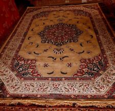 160x235 tappeto grande usato  Italia