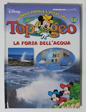 I104788 topogeo forza usato  Palermo