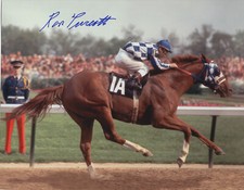 Secretariat photo collection for sale  Lexington