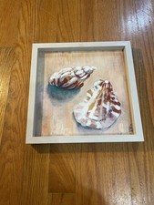 Seashell wall art for sale  Ashland