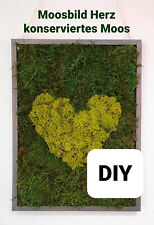Diy set kit gebraucht kaufen  Steinach