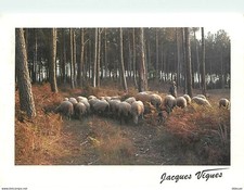Animaux moutons parfun d'occasion  Fruges