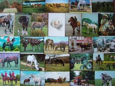 modern postcards for sale modern postcards for sale SPALDING