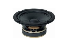 Hw161n mid woofer usato  Santa Maria Capua Vetere