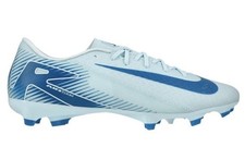 Nike air zoom gebraucht kaufen  Bühlertal