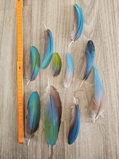 Grün blau türkis gebraucht kaufen Grün blau türkis gebraucht kaufen  Haarbach