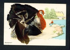 Novelty feathered bird for sale  SEVENOAKS