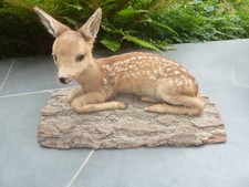 Rehkitz präparat tierpräpara gebraucht kaufen  Wietmarschen