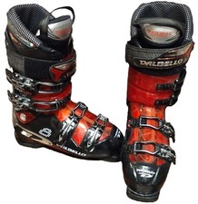 Dalbello proton ski for sale  Valrico