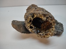 Fulgurite lightning glass for sale  Belfair