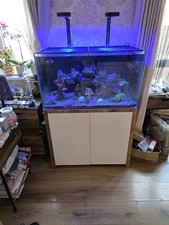 Clearseal reef tank for sale  WELLINGTON