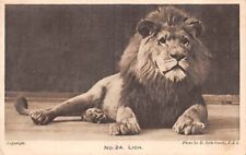 .24 lion london for sale  BEXHILL-ON-SEA