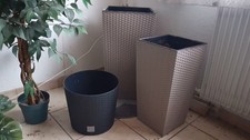pflanzeinsatz gebraucht kaufen  Detmold
