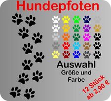 Hundepfoten pfoten hund gebraucht kaufen  Borgholzhausen