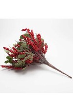 Valerie winter berry for sale  Fort Worth