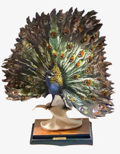 Giuseppe armani peacock for sale Giuseppe armani peacock for sale  Greeneville