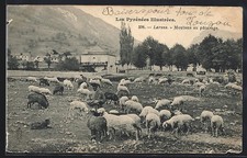 Old postcard laruns d'occasion  Expédié en Belgium