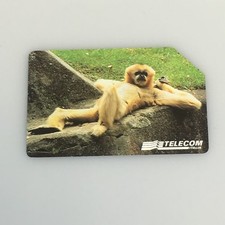 Carta scheda telefonica usato  Morro d'Oro