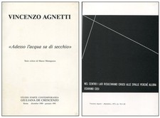 Vincenzo agnetti. adesso usato  Italia