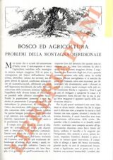 Caldart bosco agricoltura. usato  Italia