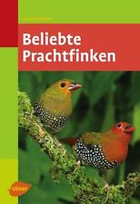 Beliebte prachtfinken gebraucht kaufen  Berlin