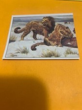 Figurina n.298 animali usato  Firenze