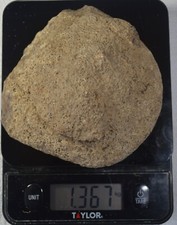 Brazilian agate nodule for sale  Aurora