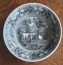 Teller villeroy boch gebraucht kaufen  Weiskirchen