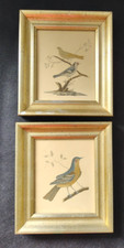 Vintage pair birds for sale  Selbyville
