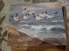 Vintage snow geese for sale  New London