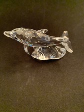 Swarovski baby dolphin for sale  Wallingford