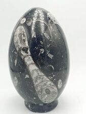Grand oeuf taillé d'occasion  Plombières-lès-Dijon